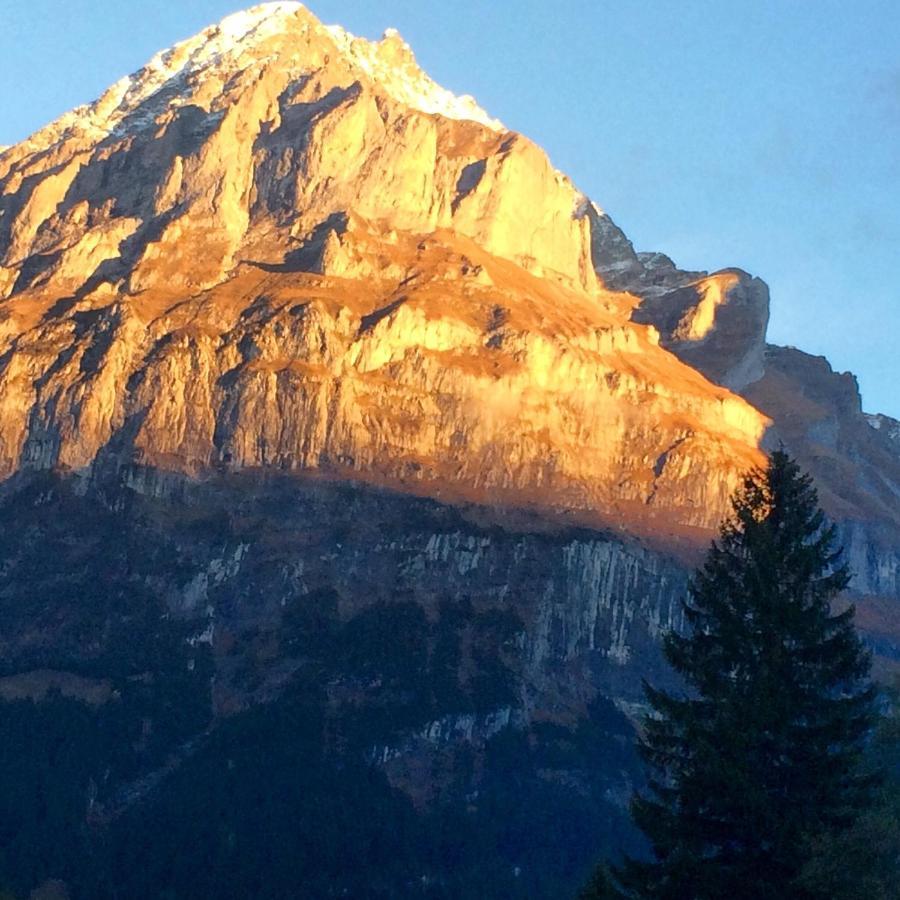 Eiger, Jungfrau, luxury garden apartment Grindelwald Extérieur photo