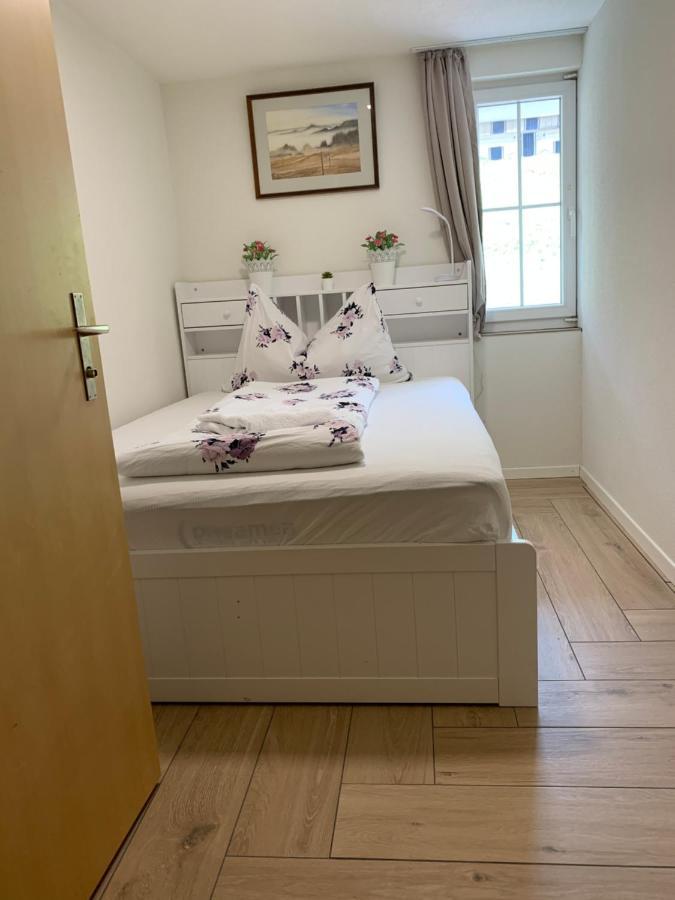 Eiger, Jungfrau, luxury garden apartment Grindelwald Extérieur photo