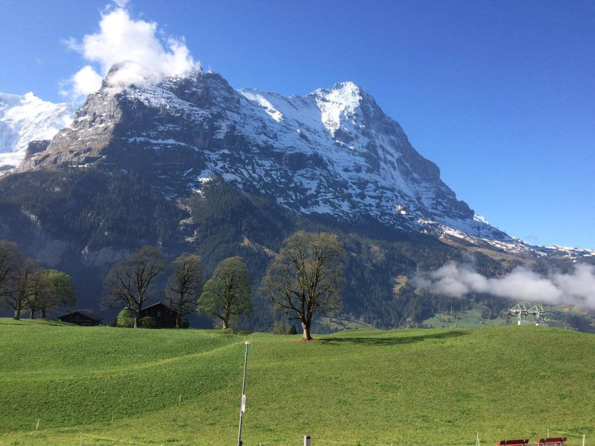 Eiger, Jungfrau, luxury garden apartment Grindelwald Extérieur photo