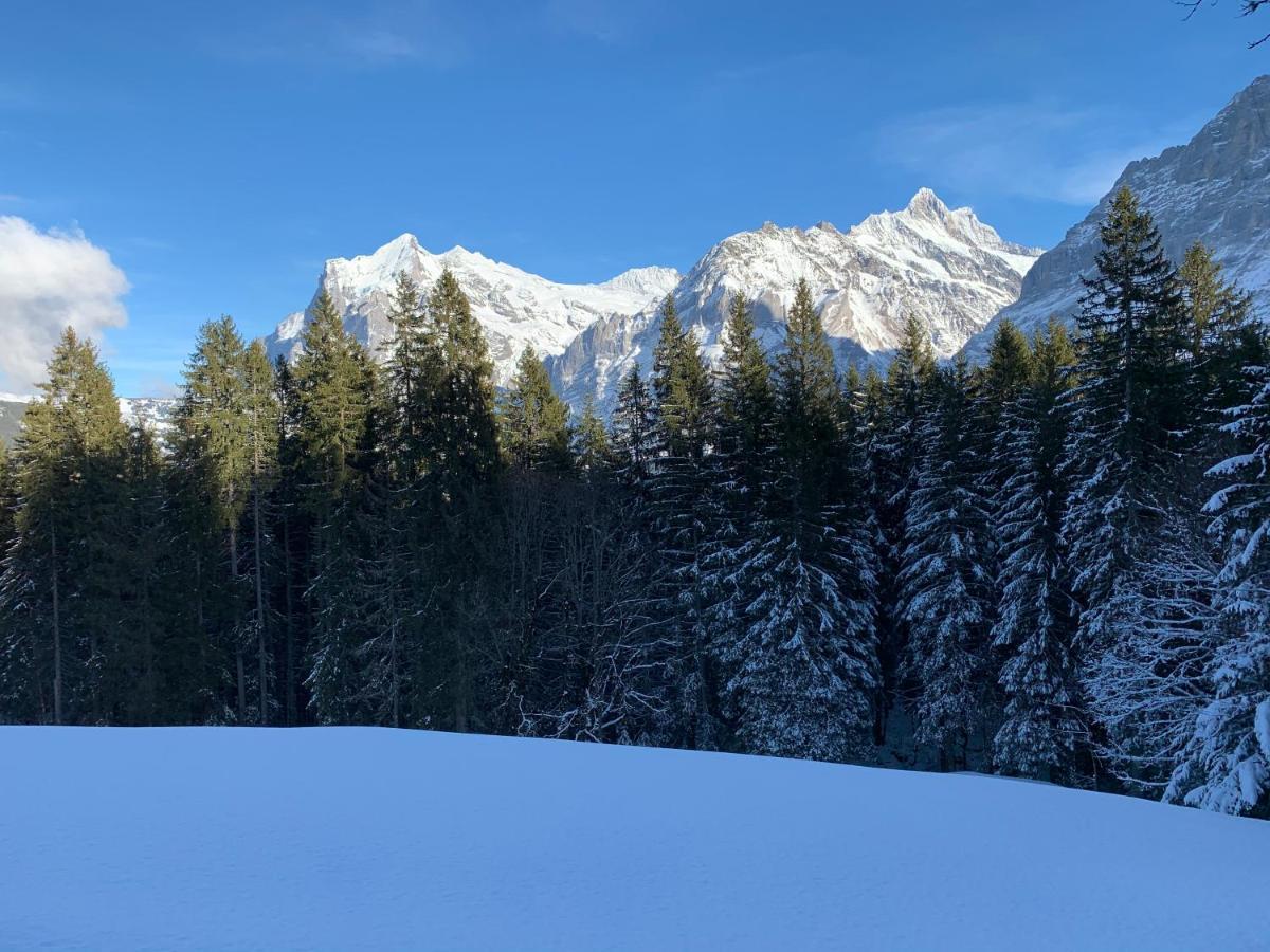 Eiger, Jungfrau, luxury garden apartment Grindelwald Extérieur photo