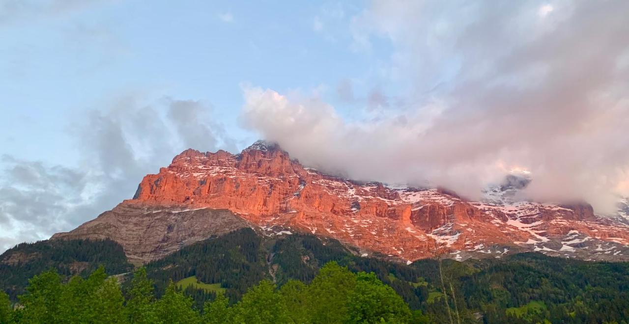 Eiger, Jungfrau, luxury garden apartment Grindelwald Extérieur photo