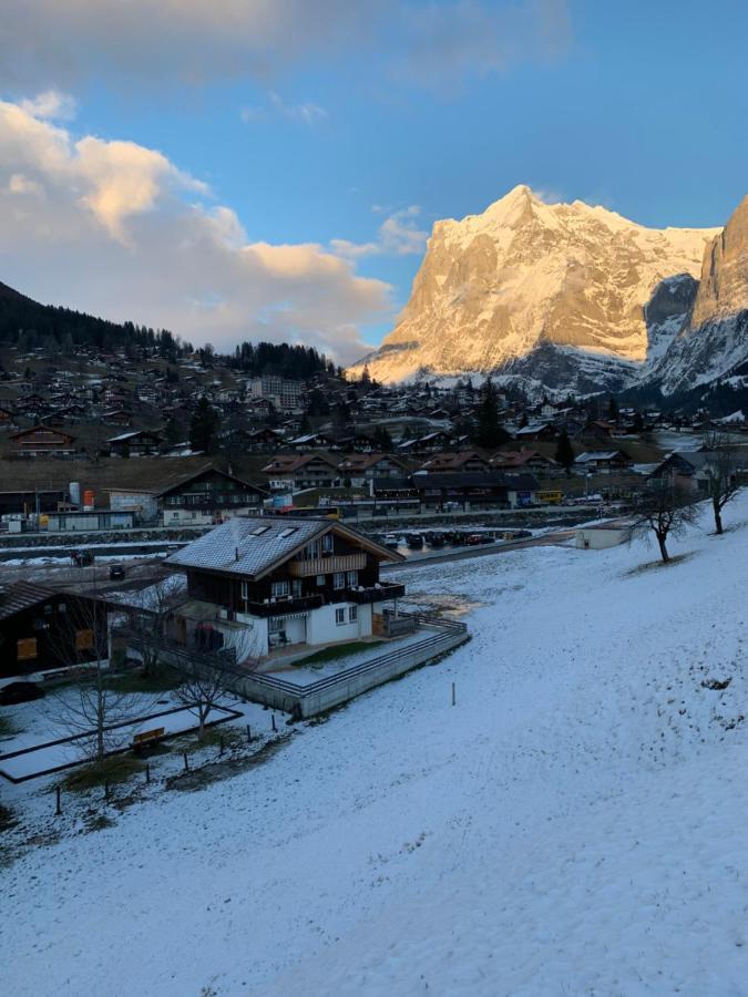 Eiger, Jungfrau, luxury garden apartment Grindelwald Extérieur photo
