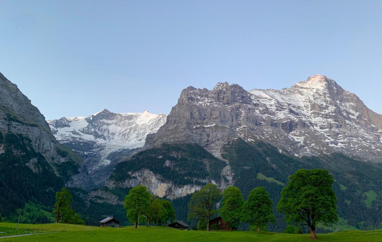 Eiger, Jungfrau, luxury garden apartment Grindelwald Extérieur photo