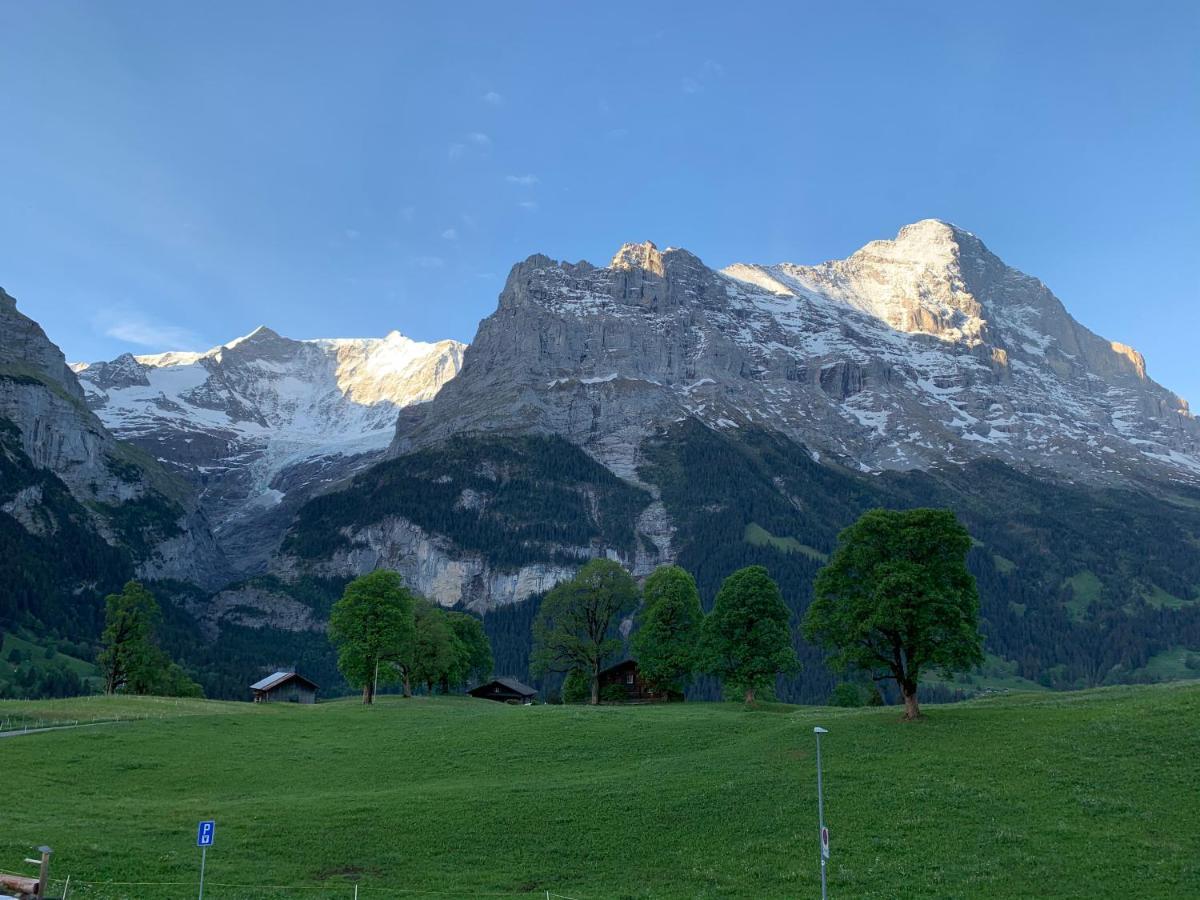 Eiger, Jungfrau, luxury garden apartment Grindelwald Extérieur photo