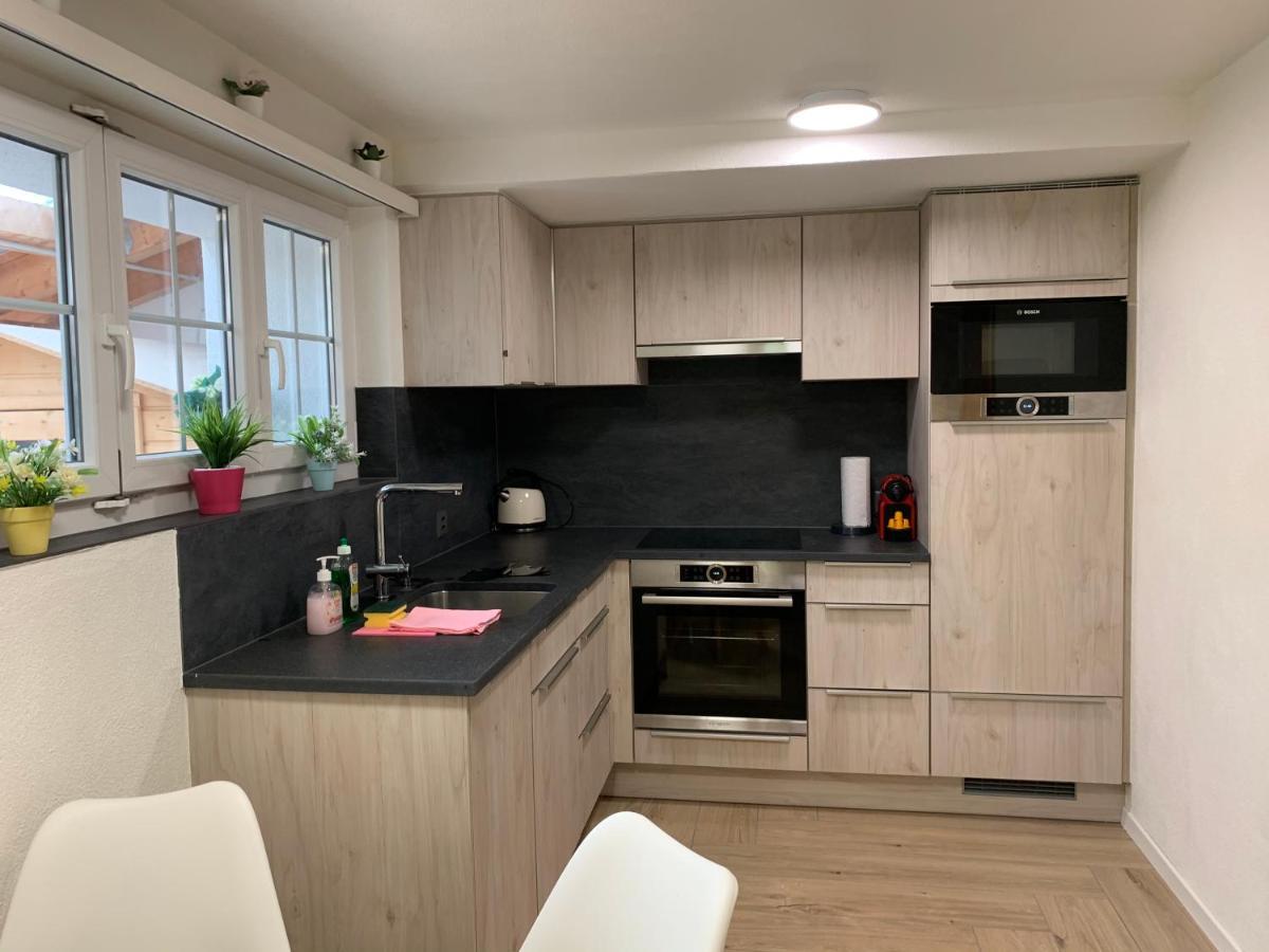 Eiger, Jungfrau, luxury garden apartment Grindelwald Extérieur photo